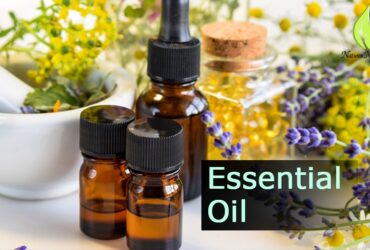 Best Essential Oil Manufacturers India – Natures Natural India