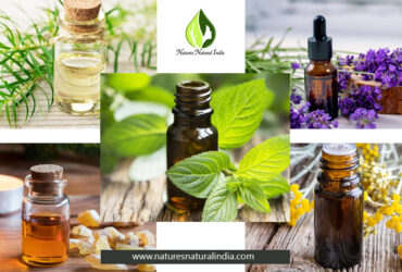 Buy Here Natural essential oils wholesale From Natures Natural India