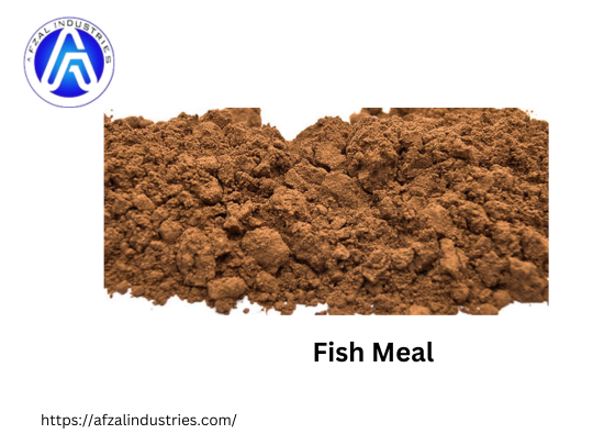 Best Fish Meal Suppliers in UP – Call Now +91-9058578786