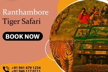 Best Ranthambore Tiger Safari | Jeep Safari in Ranthambore