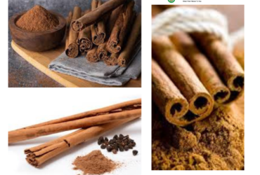 Cinnamon Extract Manufacturer in Delhi | Aushadhi Herbal