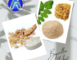 Best Boswellia Akba Extract Manufacturers in Delhi – Aushadhi Herbal