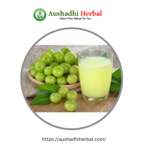 Pure Herbal Amla Extract Manufacturer in Delhi – Dial – +91-9990708948