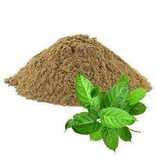 Best Gymnema Sylvestre Extract Suppliers in Delhi| Call +91-9990708948
