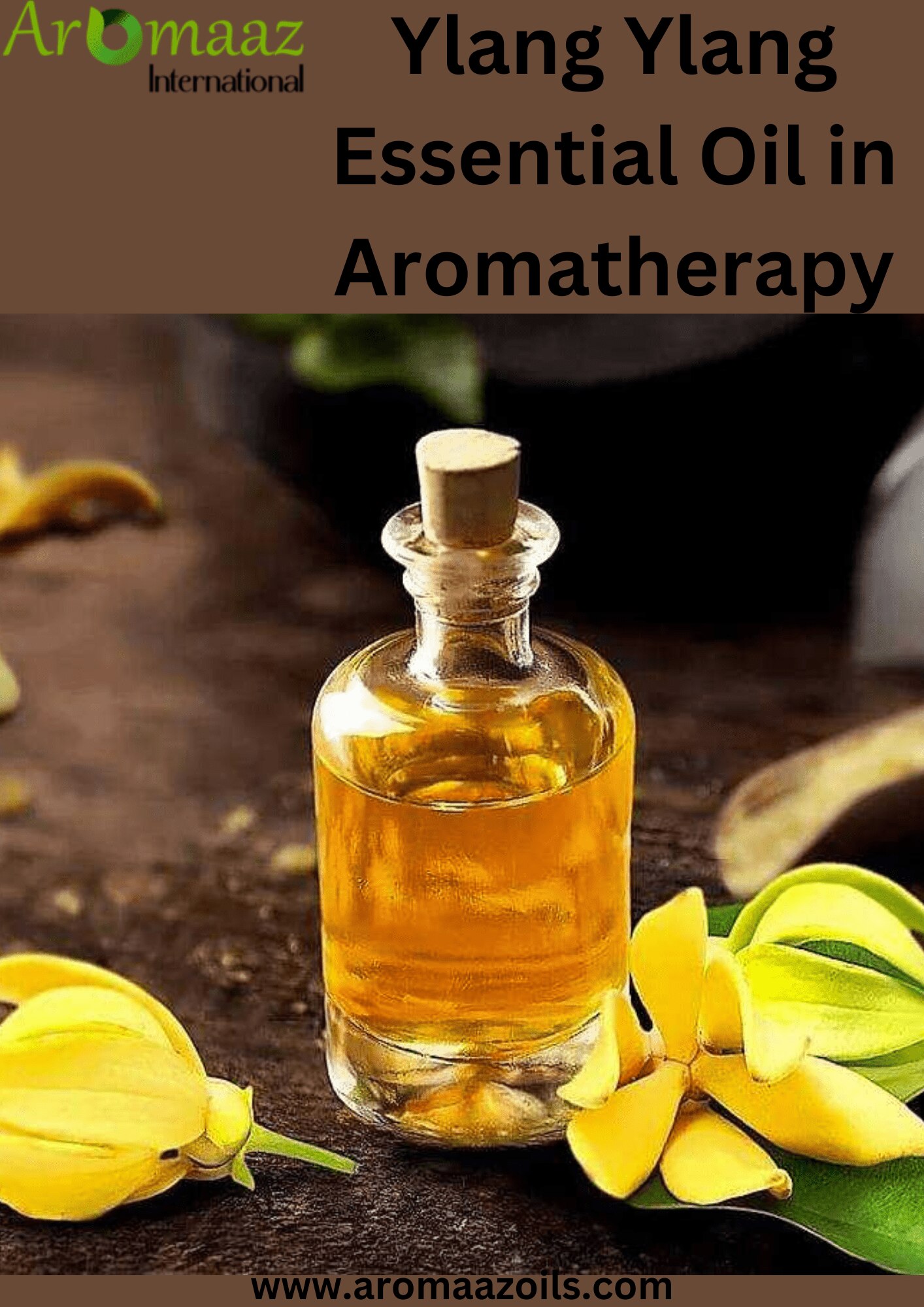 Ylang Ylang Essential Oil in Aromatherapy – Aromaaz Oils