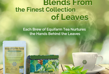 Taste Pure Flavour From Whole Leaf Teas