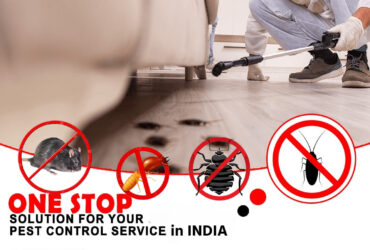 Godrej Pest Control best charges for pest control Services india