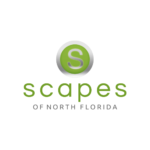 ScapesofNorthFlorida