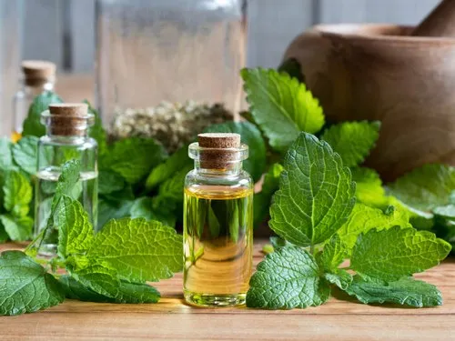 Organic Lemon Balm Oil for Aromatherapy by Aromaaz International