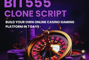 Build your casino empire with our bit555 casino clone script