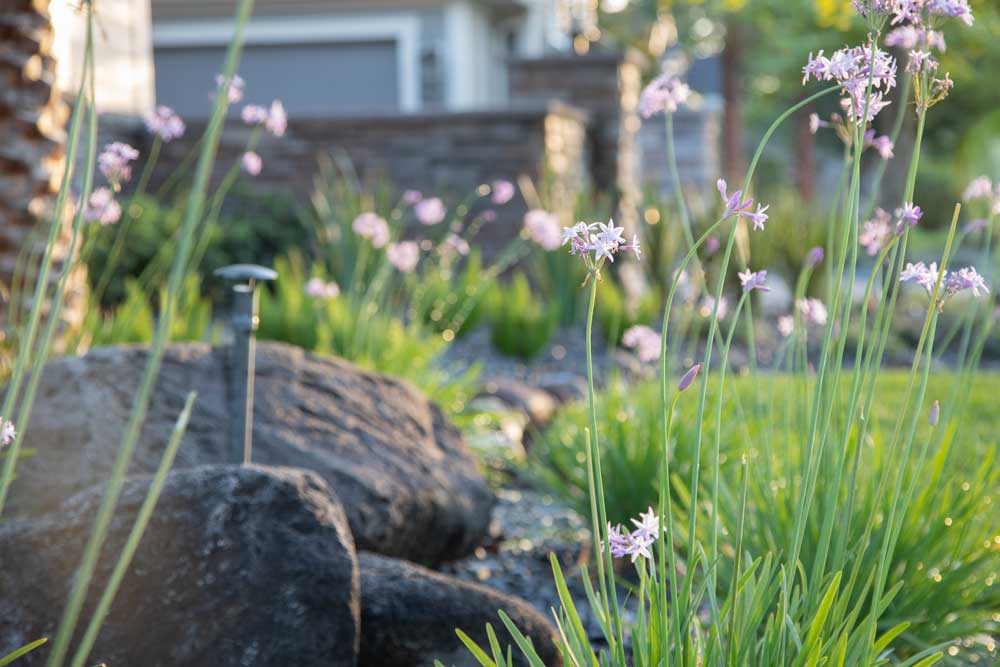 Enjoy the Landscaping Magic in Jacksonville