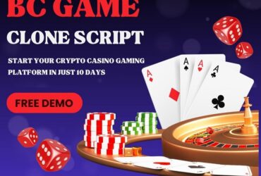 Revolutionize Gaming with Our BC Game Clone Script