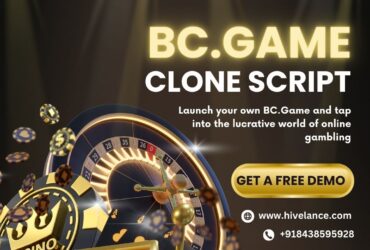 Launch Your Dream Online Casino Today with the BC.Game Clone Script!