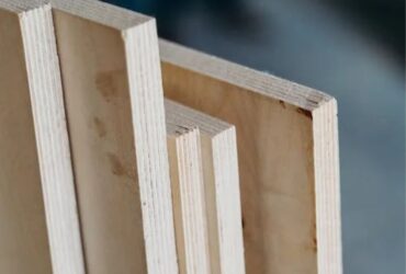 Best Plywood Manufacturers In Delhi NCR