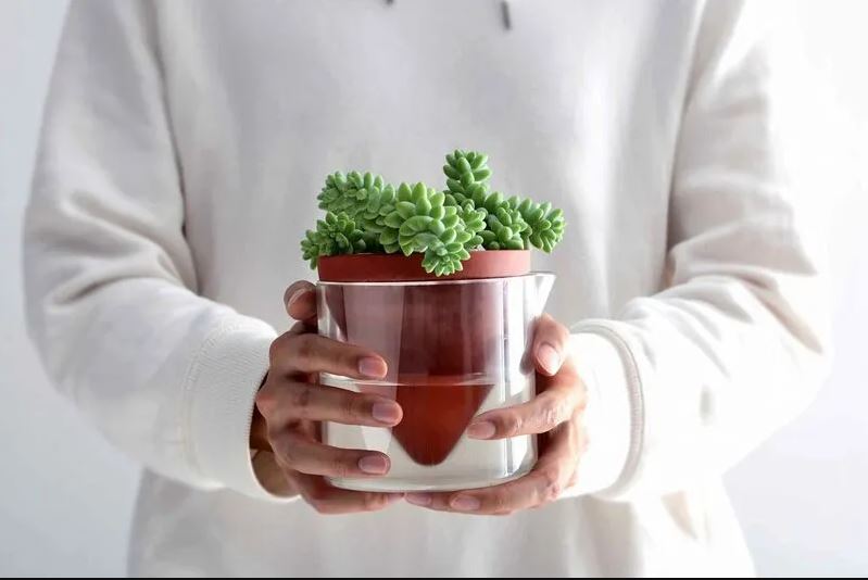 Self Watering Planter