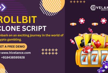 Rollbit Clone Script – Your Gateway to Crypto Online Gambling!
