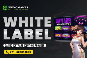 White Label Casino Software Solutions Provider – Brino Games