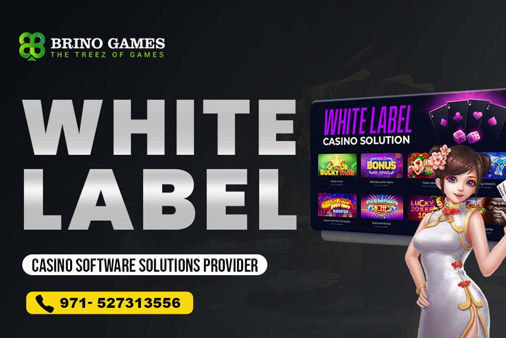 White Label Casino Software Solutions Provider – Brino Games