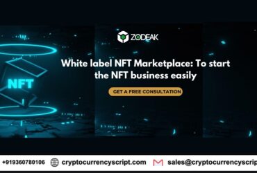 White label NFT Marketplace: To start the NFT business easily
