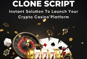 Launch your crypto casino with ease with stake clone script