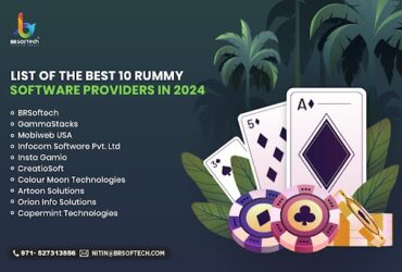 Top 10 Rummy Software Providers in India