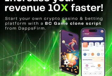 Launch Your Own Crypto Casino with Whitelabel BC Game Clone Script