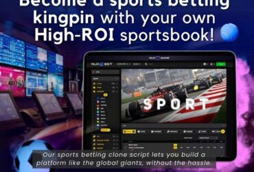 Quick and Affordable Sports Betting Clone Software Solution