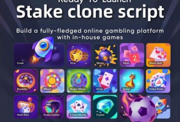 Feature-Packed Stake Clone Script: to start a casino business
