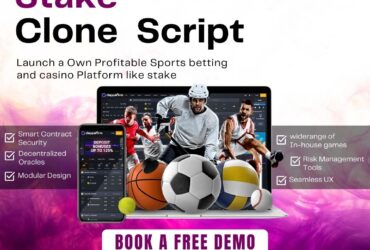 Robust Stake Clone Software: Build a Stable Betting Platform for Success