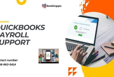 Quickbooks Payroll Support