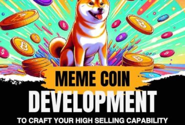 Develop your meme coin with plurance's excellent services