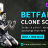 Affordable Betfair Clone Software for Quick Betting Platform Launch