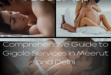 Gigolo Services in Meerut