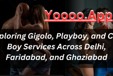 Gigolo, Playboy, and Call Boy Services Across Ghaziabad